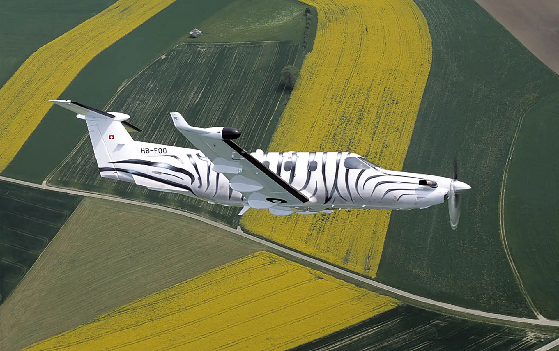 Zebra Jet The Story of a Zebra | Pilatus Aircraft
